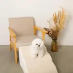 ファースエードスローステップ階段 - Image 4