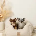 撥水ふんわりドライブペットベッド - Image 6