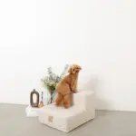 ペットキルティング階段 - Image 4