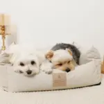 防汚加工シンプルクッションベッド - Image 3