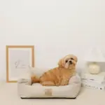 防汚加工シンプルクッションベッド - Image 7