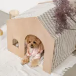 室内用ストライプペットハウス クッション付 - Image 6