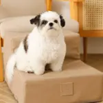 エコレザー階段 - Image 6