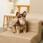 エコレザー階段 - Image 7