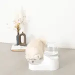 ペット用ウォーターサーバー - Image 4