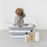 折りたたみコンパクトペットバス - Image 2