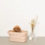 折りたたみ持ち手付ペットバス - Image 5