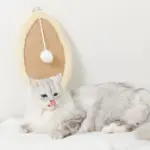 さかな型壁掛け爪とぎマット - Image 3