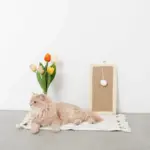 長方形壁掛け爪とぎマット - Image 2