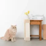 柱コーナー爪とぎ - Image 2