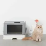 スコップ付スクエアキャットトイレ - Image 5