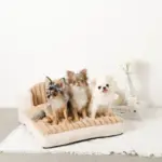 もこもこソファクッションベッド - Image 5