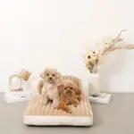 もこもこソファクッションベッド - Image 6