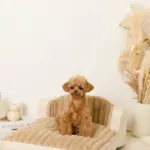 もこもこソファクッションベッド - Image 8