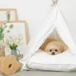 クッション付テントハウス - Image 5