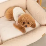 ドットヤーンキルティングクッションベッド - Image 8