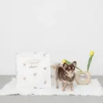 キルティング刺繍マルチボックス【名入れ刺繍対応】 - Image 3