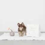 キルティング刺繍マルチボックス【名入れ刺繍対応】 - Image 8