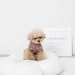 ファーフラワークッションベッド - Image 8