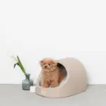 エコレザー洞窟ハウス - Image 2