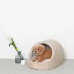 エコレザー洞窟ハウス - Image 3