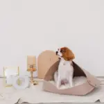 ウッドセミサークルトレイ - Image 2