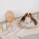 ウッドセミサークルトレイ - Image 4