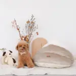 ドーム型ボアハウス - Image 7