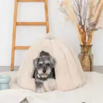 ドーム型セミクローズドペットハウス クッション付 - Image 2