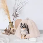 ドーム型セミクローズドペットハウス クッション付 - Image 5