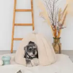 ドーム型セミクローズドペットハウス クッション付 - Image 9