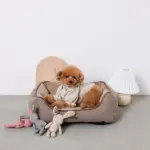 ヘリンボーンクッションベッド - Image 2