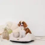 ヘリンボーンクッションベッド - Image 4