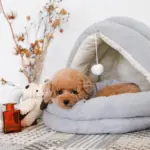 ポンポン付セミクローズドベッド S - Image 8