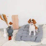 ベッドスローブランケット タッセル付 - Image 4