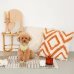 トライアングル柄フリンジクッション - Image 4