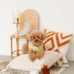 トライアングル柄フリンジクッション - Image 7