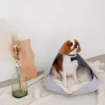 ウッドシェープトレイ - Image 4