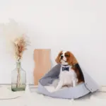 クッション付フェルトベッド - Image 8