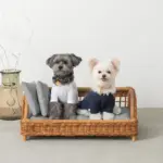 スクエアラタンベッド　クッション付き - Image 3