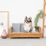 スクエアラタンベッド　クッション付き - Image 5