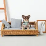 スクエアラタンベッド　クッション付き - Image 6