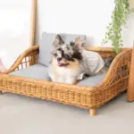 スクエアラタンベッド　クッション付き - Image 9