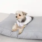 モダンドッグクッション - Image 2