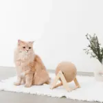 くるくる回転爪とぎ - Image 3