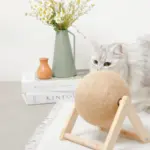 くるくる回転爪とぎ - Image 5