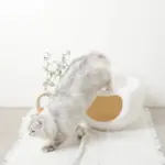 ドーム型キャットハウス - Image 3