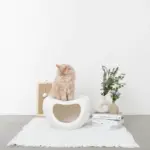 ドーム型キャットハウス - Image 5