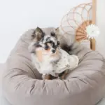 ふんわりクッションベッド - Image 6