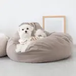 ふんわりクッションベッド - Image 7